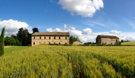 gallery1