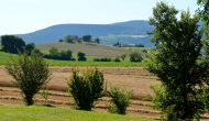 gallery10