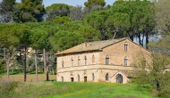 olio5