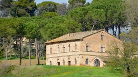 olio5
